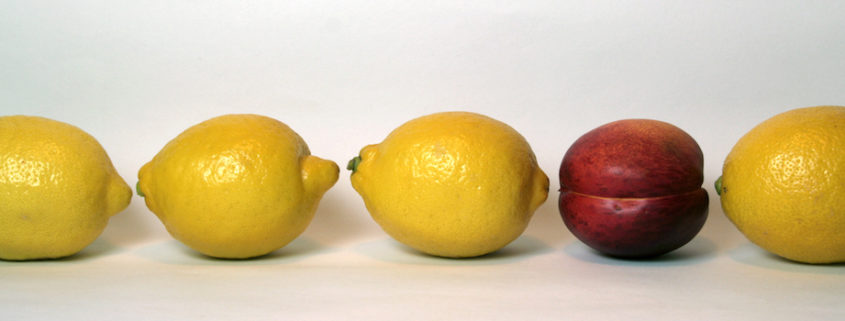 No one wants a lemon. Find a great coach!